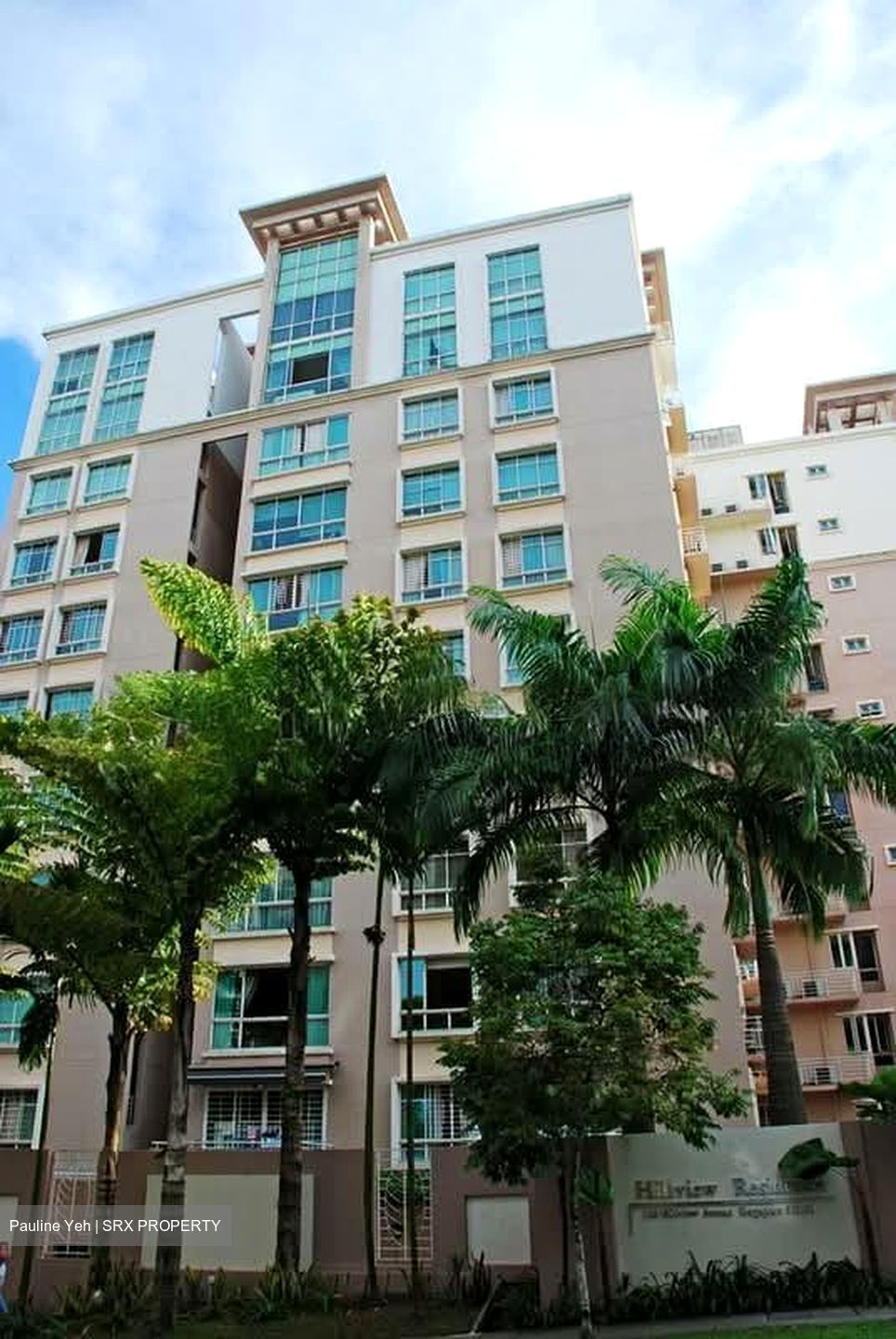 Hillview Residence (D23), Condominium #585118591